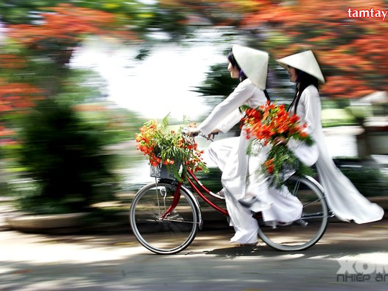 Một bài thơ sáng ý, đẹp lời